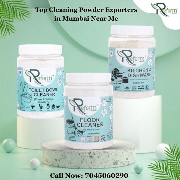 Top Cleaning Powder Exporters in Mumbai Near Me